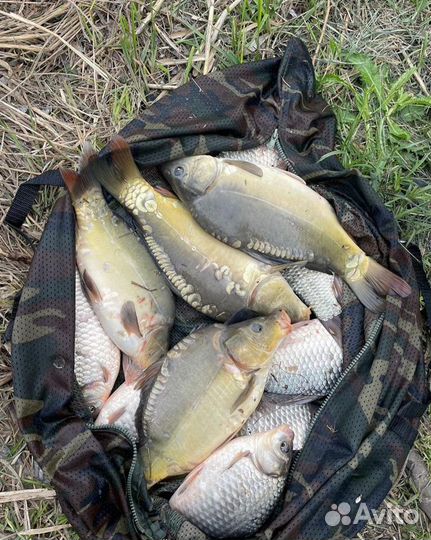 Рыбалка х. Шуваев 