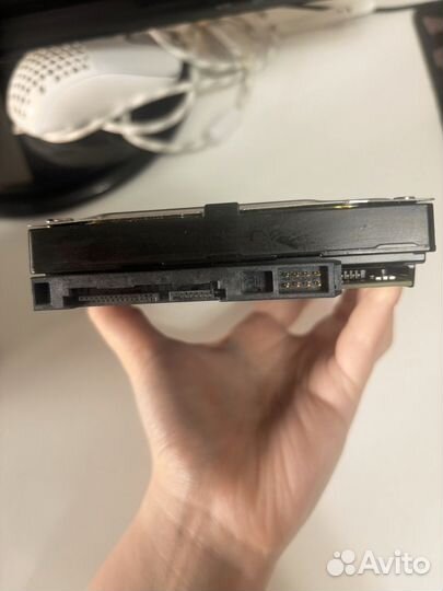 Жесткий диск 1 тб western digital