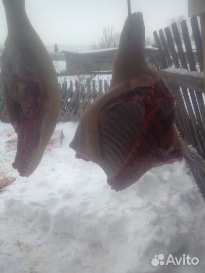 Мясо свинины