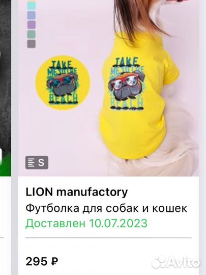 Одежда для собак мелких пород