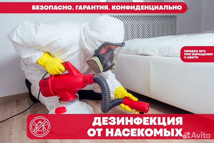 Уничтожение клопов, тараканов, мышей