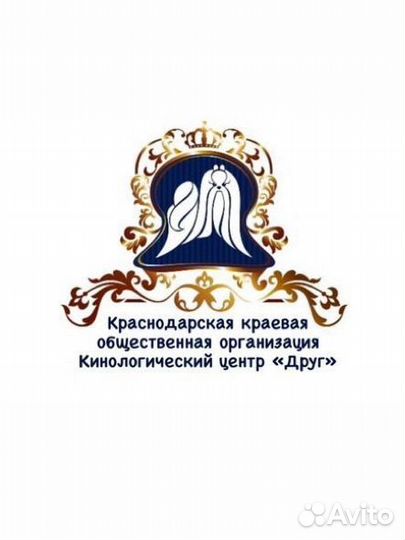 Оформление документов