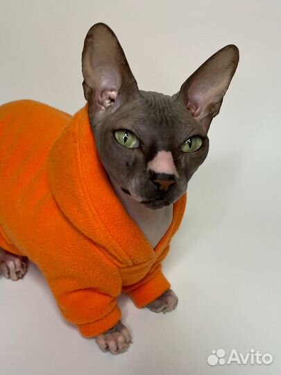 Одежда для животных(котов/кошек/сфинкса)