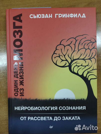 Сьюзан Гринфилд. Один день из жизни мозга