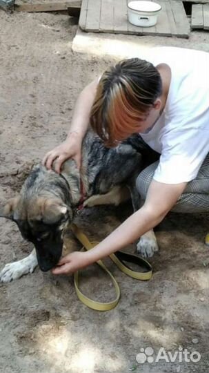 Ты можешь спасти