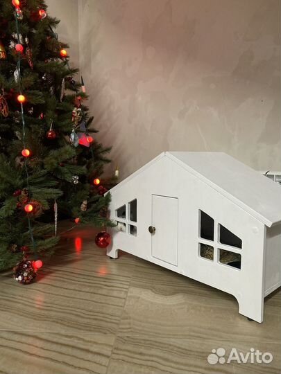 Декоративные карликовые кролики