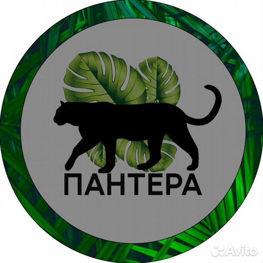 Ветеринарный врач