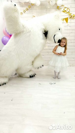 Белый Мишка, поздравления, аниматор