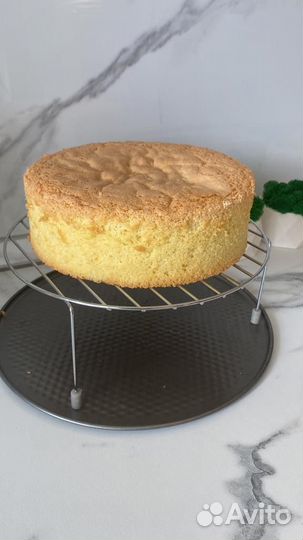 Коржи для торта, бисквит