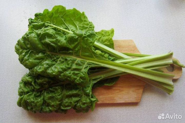 Мангольд, семена, 30 шт