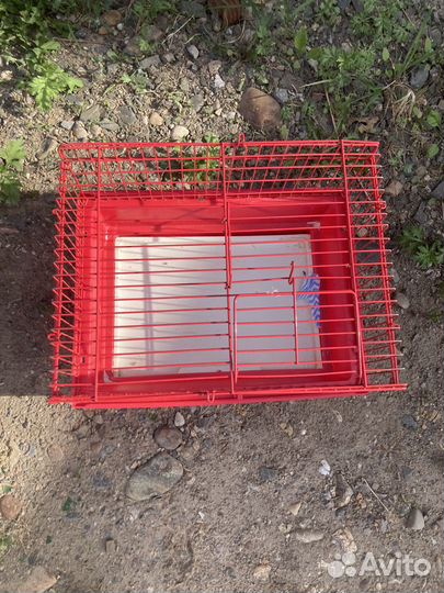 Клетка для джунгариков