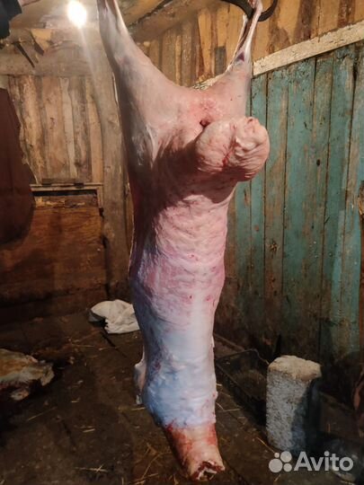 Мясо баранина и говядина Халял