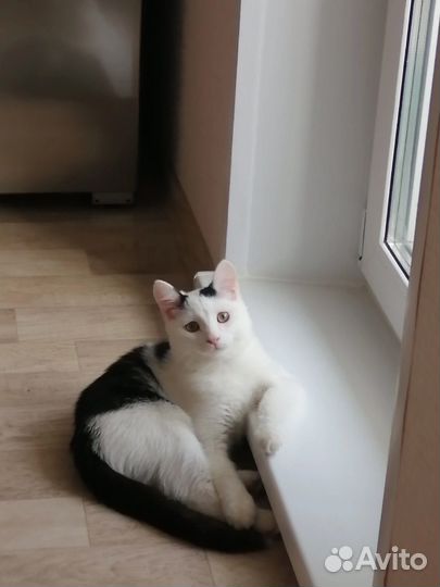 Александра шмакова 46