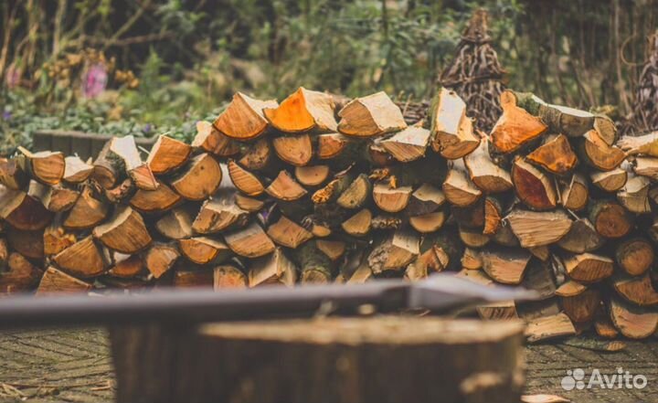 Дрова понимающих