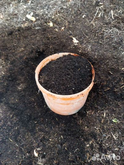 Перегной, торф