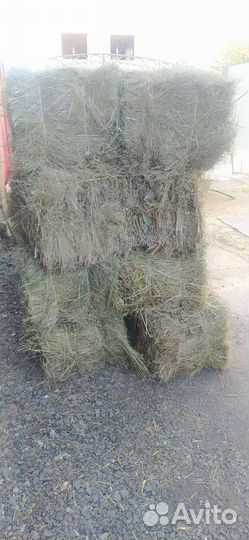 Сено луговое Тюки от 5ти штук