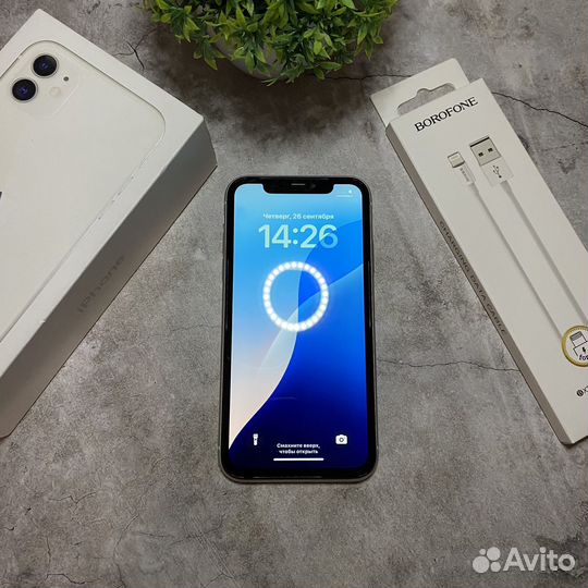 iPhone 11, 64 ГБ