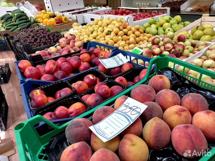 Торговый павильон