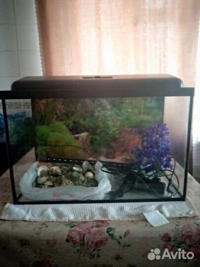 Аквариум