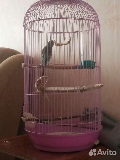 Клетка для попугая