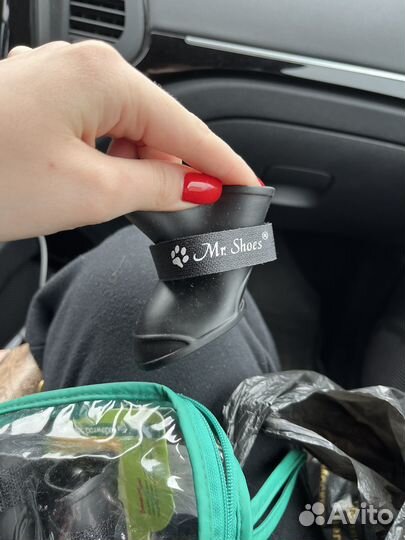 Ботинки для маленьких собак