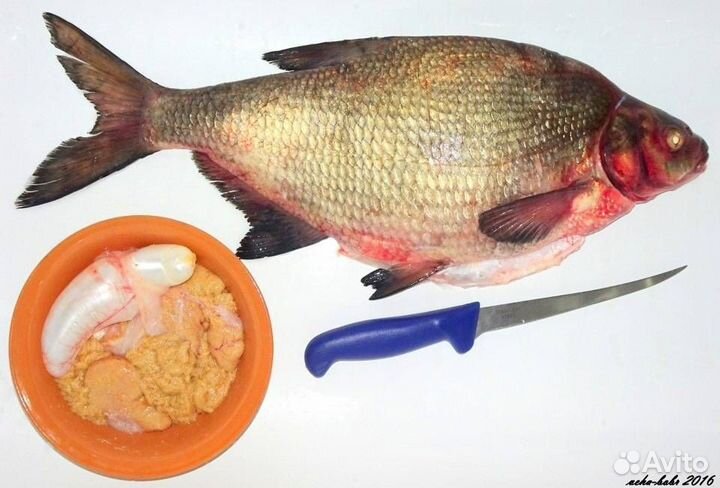 Вяленая рыба (лещ от 500 гр /шт)