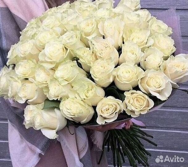 Метровые розы 110