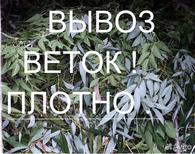 Вывоз мусора & Грузчики