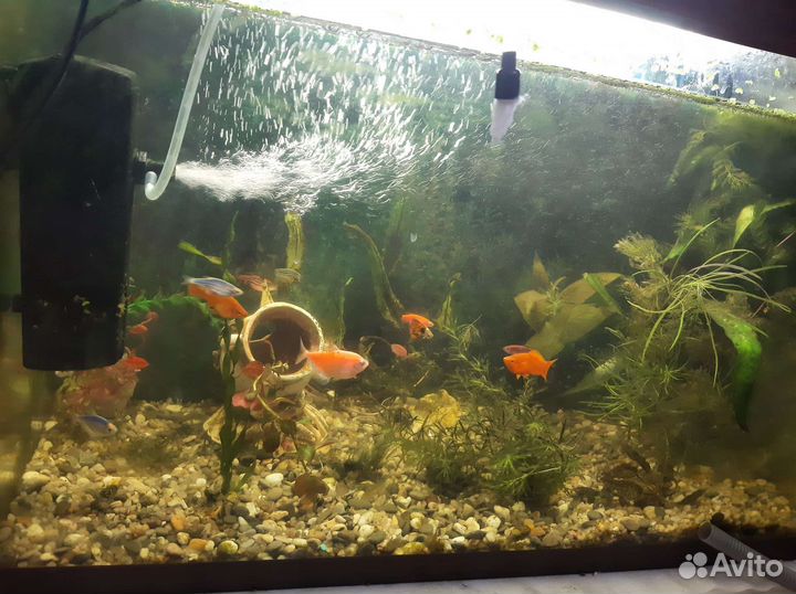Аквариум