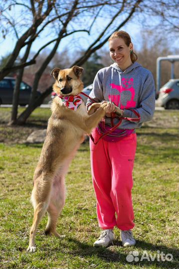 Вы за мной пришли, правда