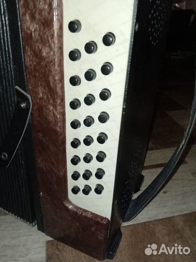 Гармонь Кубань