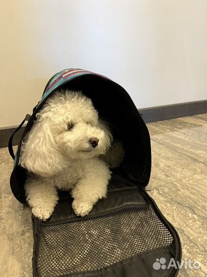 Лежанка для маленьких собак