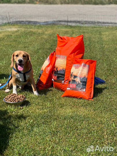 Корм для собак veles