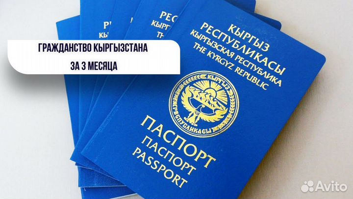 Помощь в получении гражданства Киргизии за 3 мес