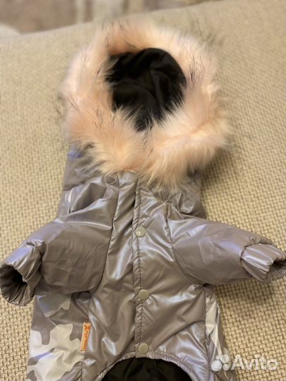 Одежда для собак