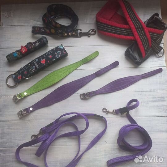 Ошейник для борзой