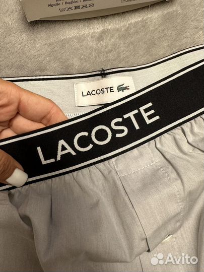 Шорты lacoste