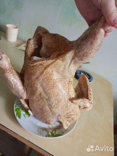 Куры бройлеры тушки мясо