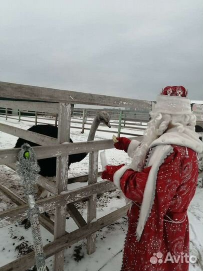 Костюм деда мороза взрослый