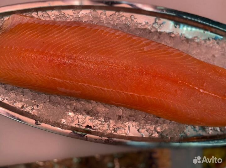 Лосось филе слабосолённый. Охлаждёнка