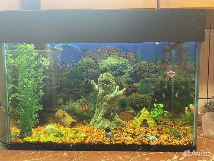 Аквариум
