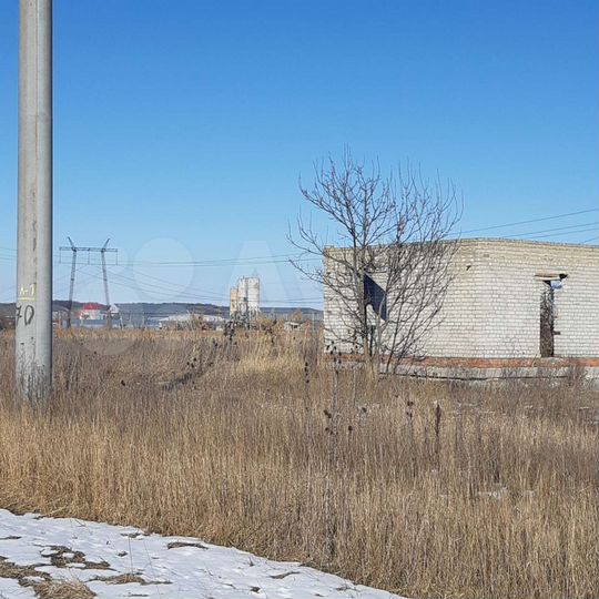 Участок 6,5 сот. (СНТ, ДНП)