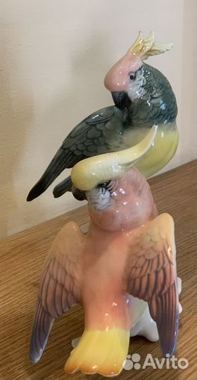 Статуэтка попугаи, фарфор, Германия, Карл энс