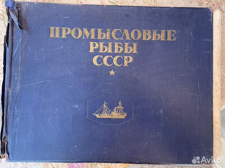 Книга промысловые рыбы СССР