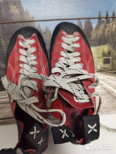 Скальники детские