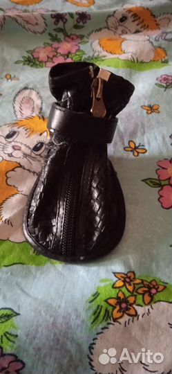 Ботинки на собачку