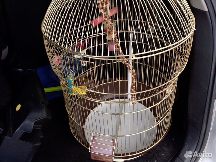 Клетка для попугая