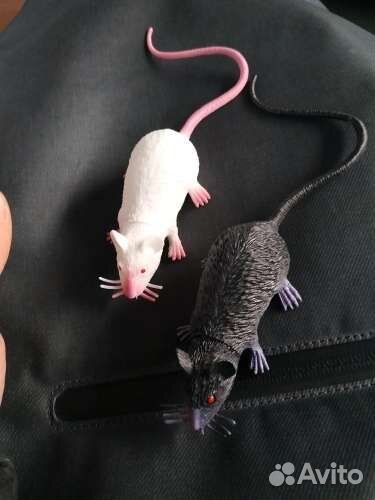 Очки и игрушки для кошек и собак. Новые, выбор