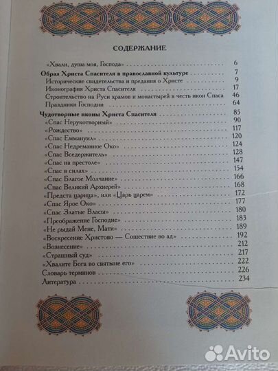 Книга: Спаситель мира. Состояние новой