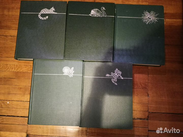 Книги Биология, палеонтология, физика, химия